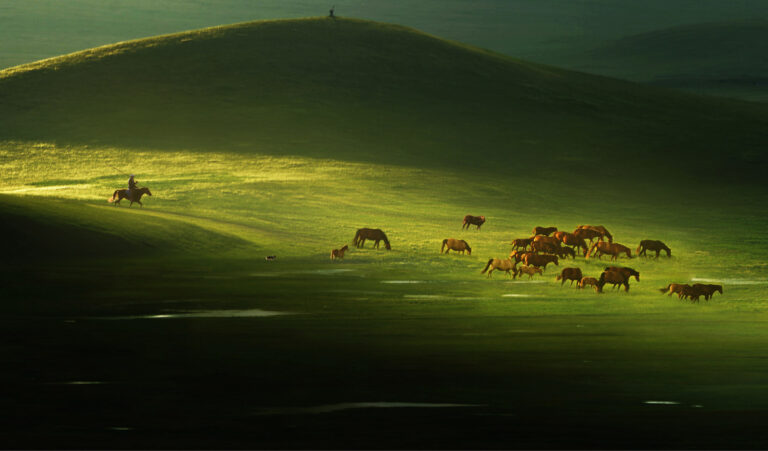 Zhu Yanqin - Early-summer